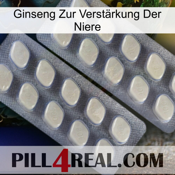 Ginseng Zur Verstärkung Der Niere 07